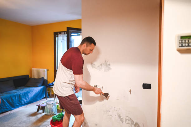 Best Attic Mold Removal  in Lake View, AL